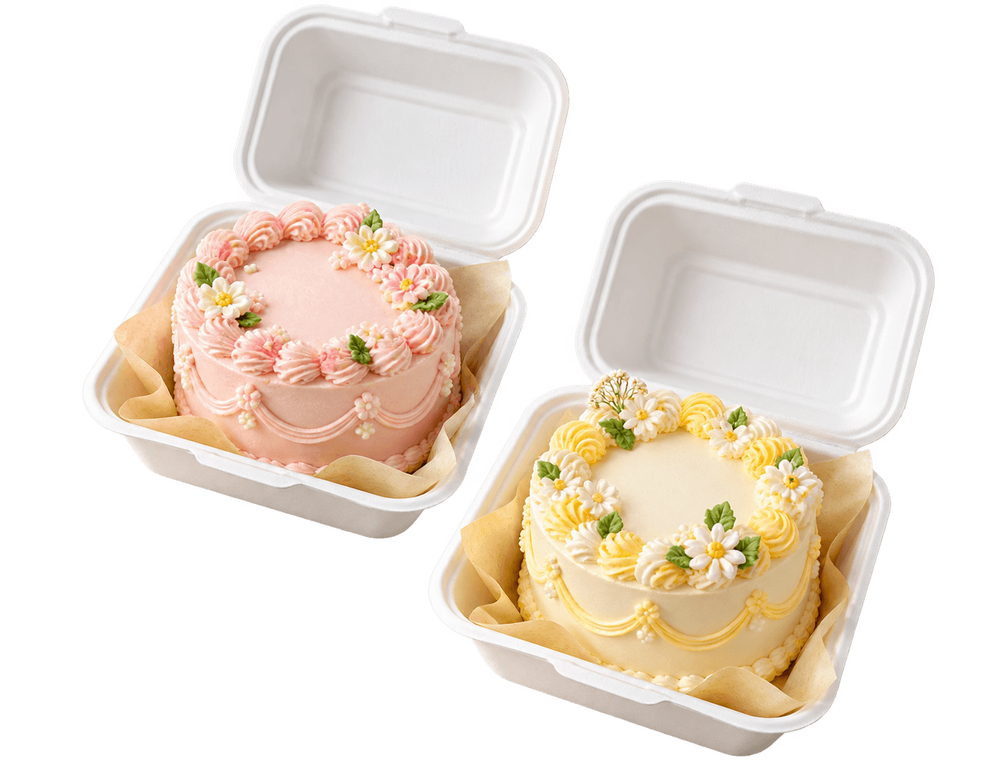 Two decorated bento cakes in open boxes